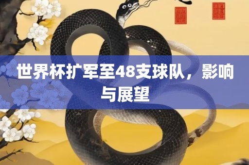 世界杯扩军至48支球队，影响与展望