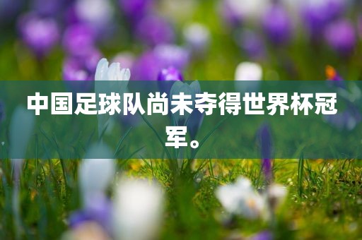 中国足球队尚未夺得世界杯冠军。