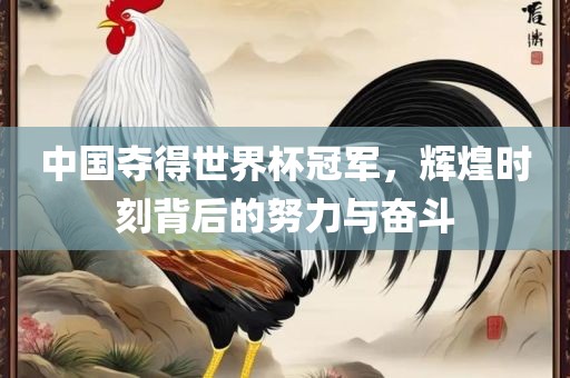 中国夺得世界杯冠军，辉煌时刻背后的努力眉山市正发家政服务有限公司与奋斗