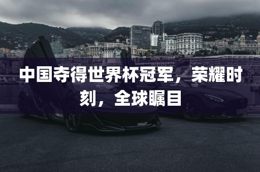 中国夺得世界杯冠军，荣耀时刻眉山市正发家政服务有限公司，全球瞩目