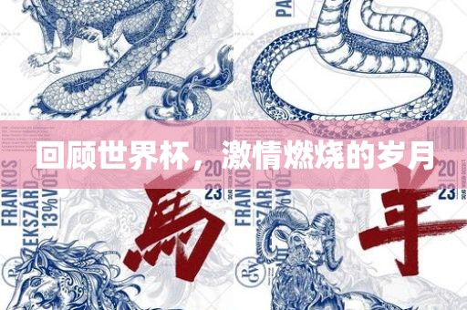 回顾世界杯，激情燃烧的岁月