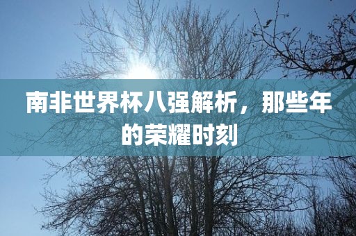 南非世界杯八强解析，那些年的荣耀时刻眉山市正发家政服务有限公司