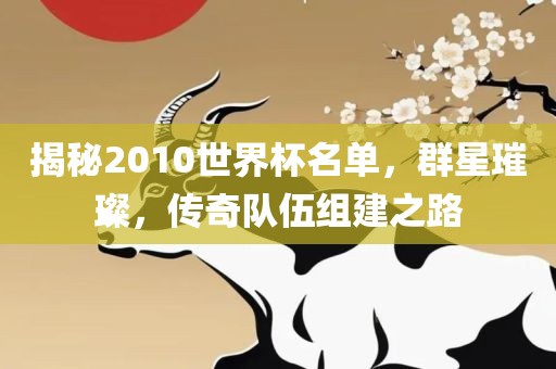 揭秘2010世界杯名单，群星璀璨，传奇队伍组建之路眉山市正发家政服务有限公司