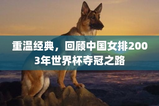 眉山市正发家政服务有限公司重温经典，回顾中国女排2003年世界杯夺冠之路