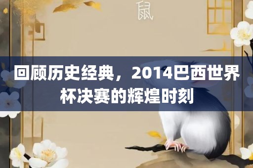 回顾历史经典，2014巴西世界杯决赛的辉煌时刻