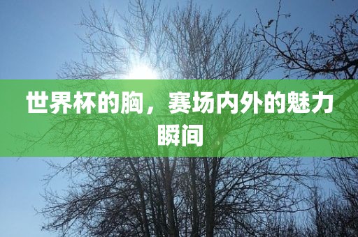 世界杯的胸，赛场内外的魅力瞬间
