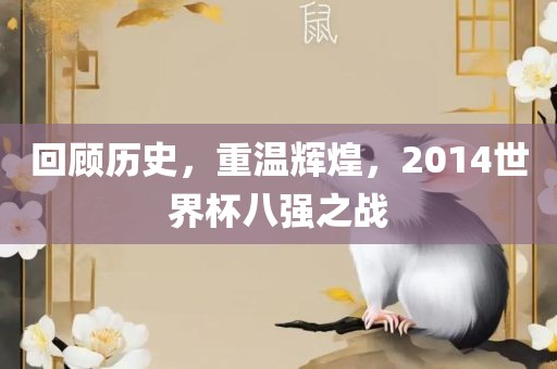 回顾历史，重温辉煌，2014世界杯八强之战