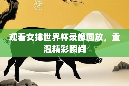 观看女排世界杯录像回放，重温精彩瞬间