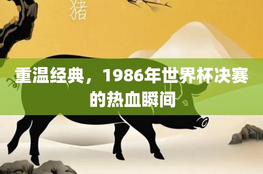 世界杯决赛 第6页