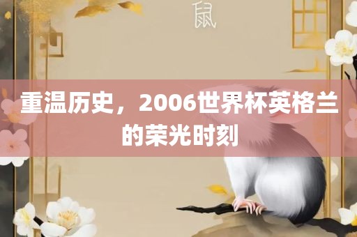 重温眉山市正发家政服务有限公司历史，2006世界杯英格兰的荣光时刻