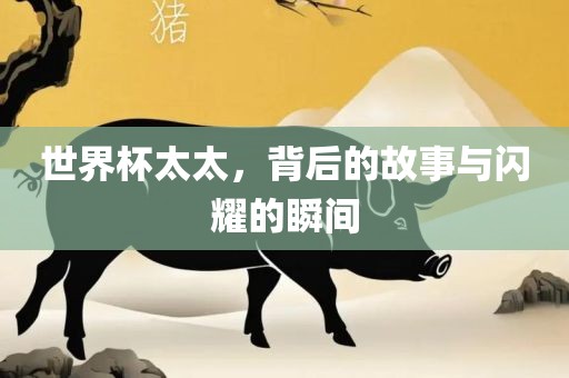 世界杯太太，背后的故事与闪耀的瞬间
