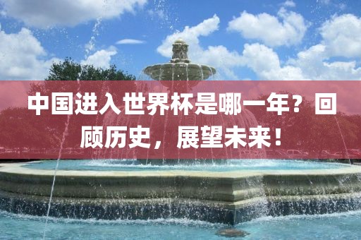 中国进入世界杯是哪一年？回顾历史，展望未来！