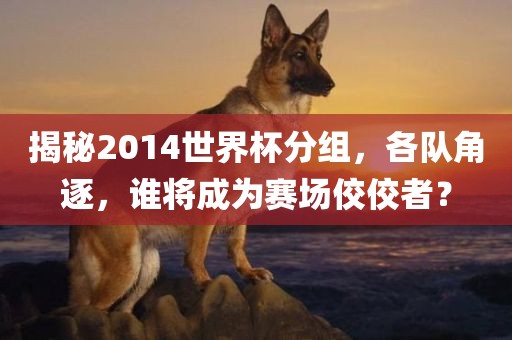 揭秘2014世界杯分组，各队角逐，谁将成为赛场佼佼者？