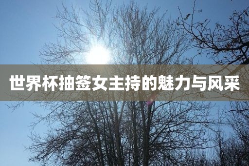 世界杯抽签女主持的魅力与风采眉山市正发家政服务有限公司