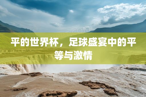 眉山市正发家政服务有限公司平的世界杯，足球盛宴中的平等与激情