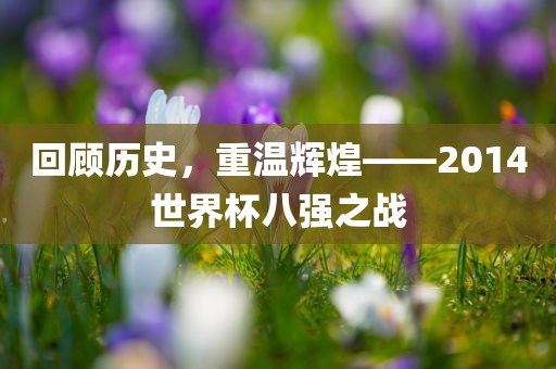 回顾历史，重温辉煌——2014世界杯八强之战