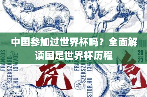 中国参加过世界杯吗？全面解读国足世界杯历程眉山市正发家政服务有限公司