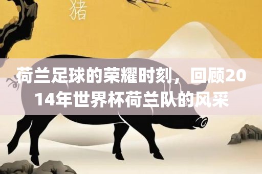 荷兰足球的荣耀时刻，回顾2014年世界杯荷兰队的风采