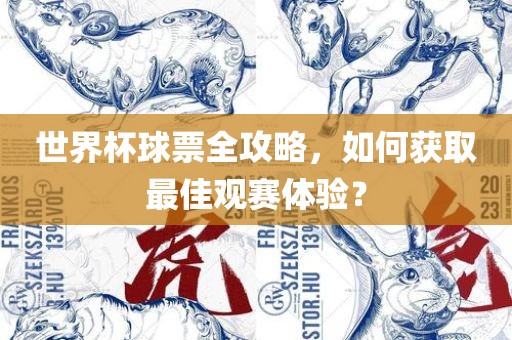 世界杯球票全攻略，如何获取最佳观赛体验？眉山市正发家政服务有限公司