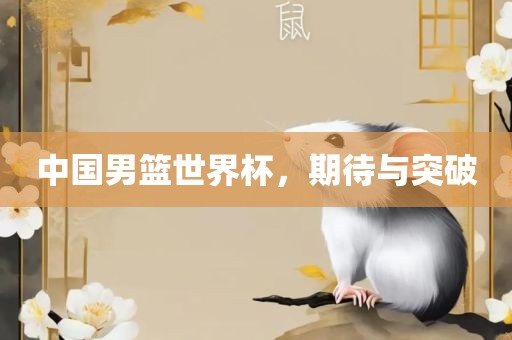 中国男篮世界杯，期待与突破