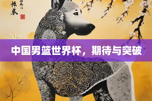 中国男篮世界杯，期待与突破