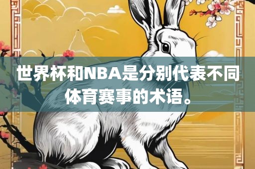 世界杯和NBA是分别代表不同体育赛事的术语。