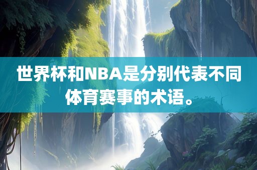 世界杯和NBA是分别代表不同体育赛事的术语。