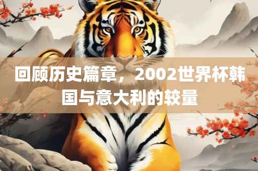 回顾历史篇章，2002世界杯韩国与意大利的较量