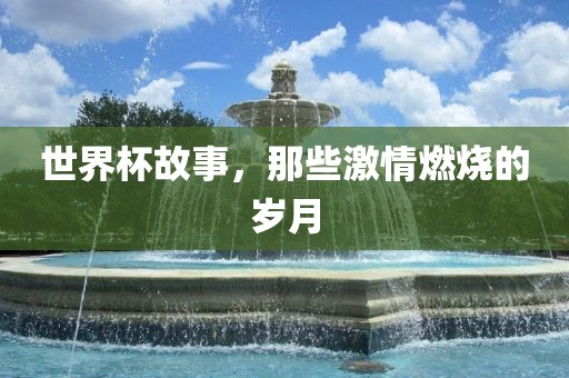 世界杯故事，那些激情燃烧的岁月眉山市正发家政服务有限公司