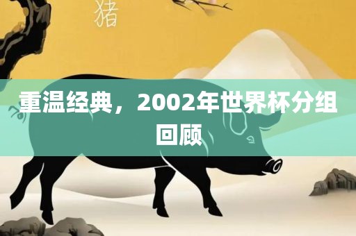 重温经典，2002年世界杯分组回顾