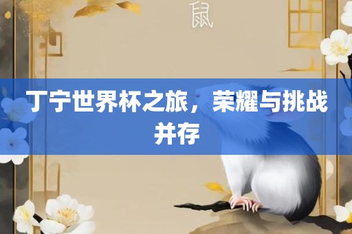 丁宁世界杯之旅，荣耀与挑战并存眉山市正发家政服务有限公司
