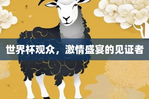 世界杯观众，激情盛宴的见证者眉山市正发家政服务有限公司