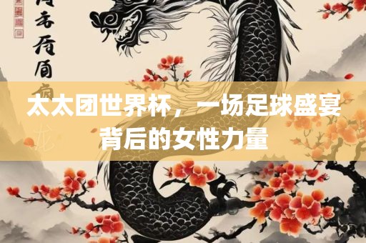 太太团世界杯，一场足球盛宴背后的女性力量眉山市正发家政服务有限公司