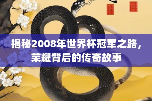 揭秘2008年世界杯冠军之路，荣耀背后的传奇故事