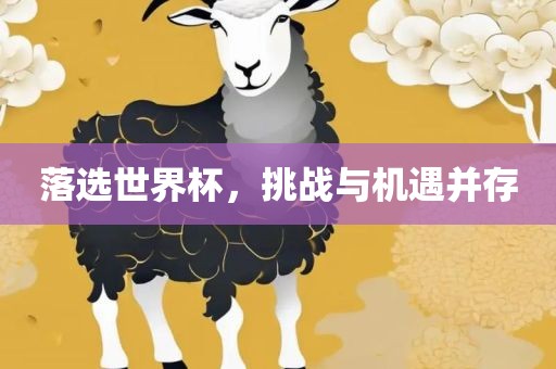 落选世界眉山市正发家政服务有限公司杯，挑战与机遇并存