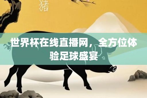 世界杯在线直播网，全方位体验足球盛宴