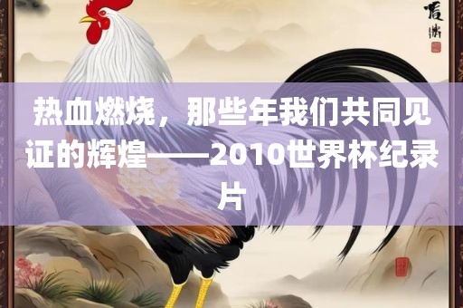 热血燃烧，那些年我们共同见证的辉煌——2010世界杯纪录片