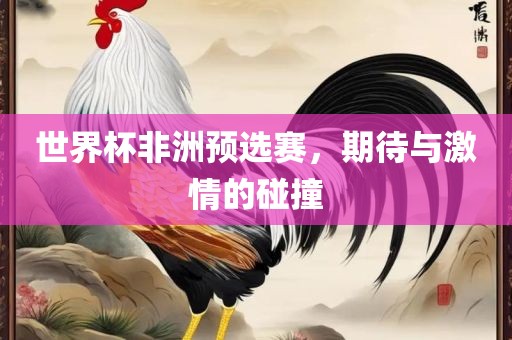 世界杯非洲预选赛，期待与激情的碰撞