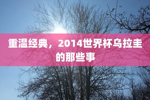 重眉山市正发家政服务有限公司温经典，2014世界杯乌拉圭的那些事