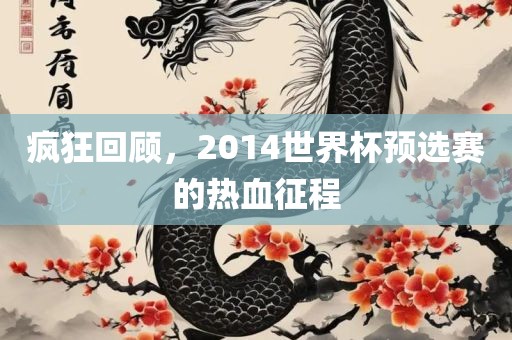 疯狂回顾，2014世界杯预选赛的热血征程