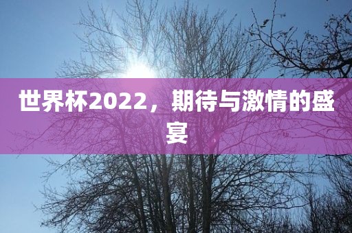 世界杯2022，期待与激情的盛宴