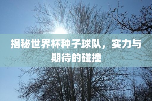 揭秘世界杯种子球队，实力与期待的碰撞