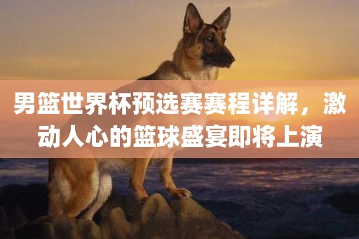 男篮世界杯预选赛赛程详解，激动人心的篮球盛宴即将上演