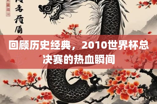 回顾历史经典，2010世界杯总决赛的热血瞬间
