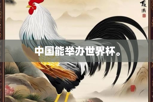 中国能举办世界杯。