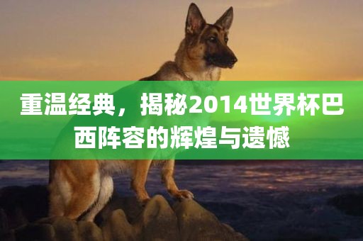 重温经典，揭秘2014世界杯巴西阵容的辉煌与遗憾