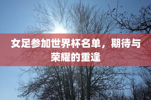 女足参加世界杯名单，期待与荣耀的重逢