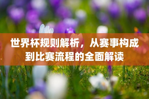 世界杯规则解析，从赛事构成到比赛流程的全面解读