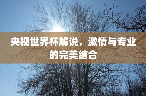央视世界杯解说，激情与专业的完美结合