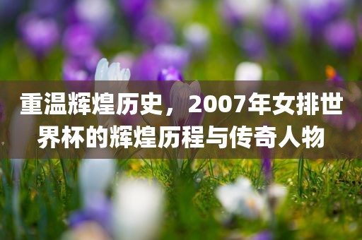 重温辉煌历史，2007年女排世界杯的辉煌历程与传奇人物眉山市正发家政服务有限公司